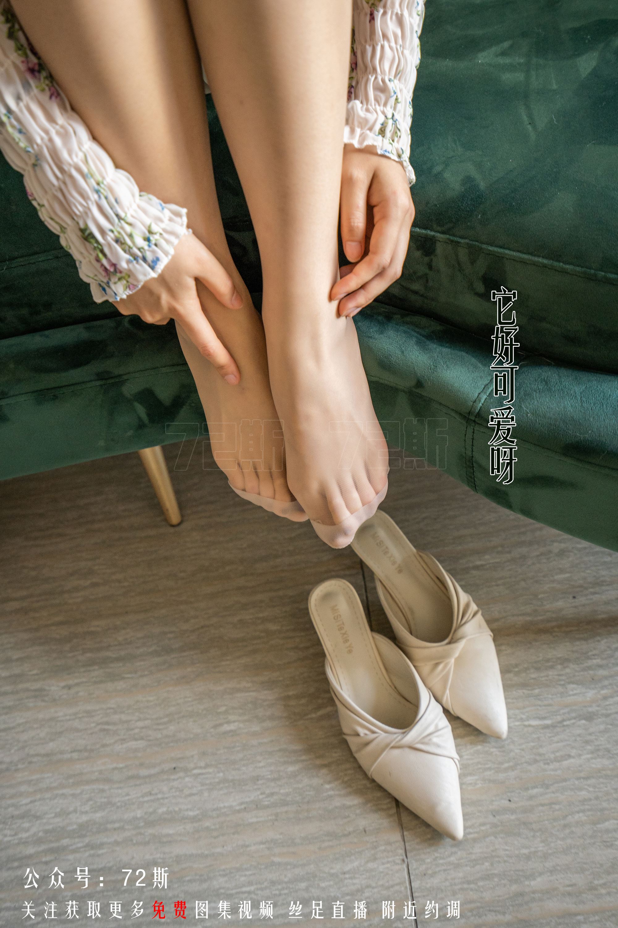 72斯图集 No.01 我的新室友1